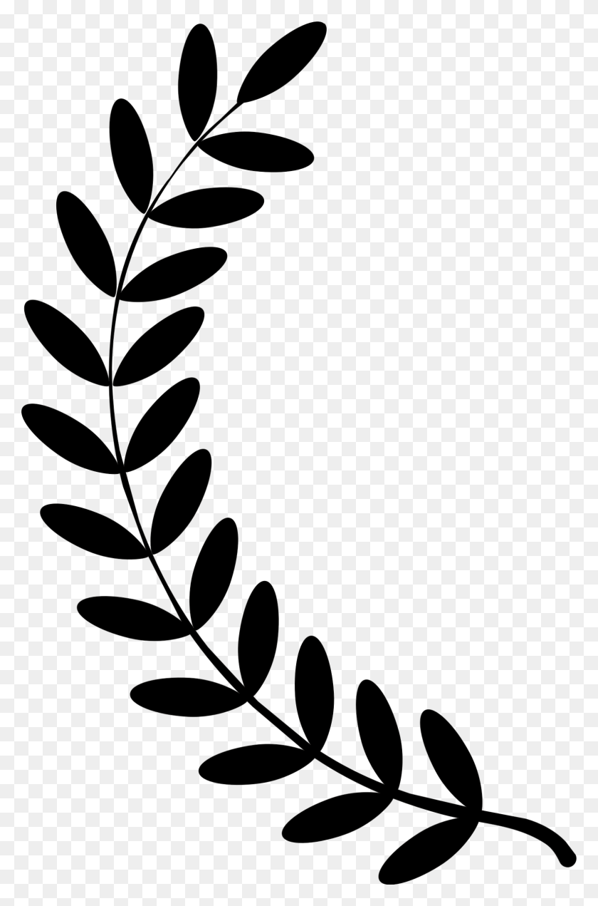 1544x2399 Clipart - Olive Branch Wreath Clipart