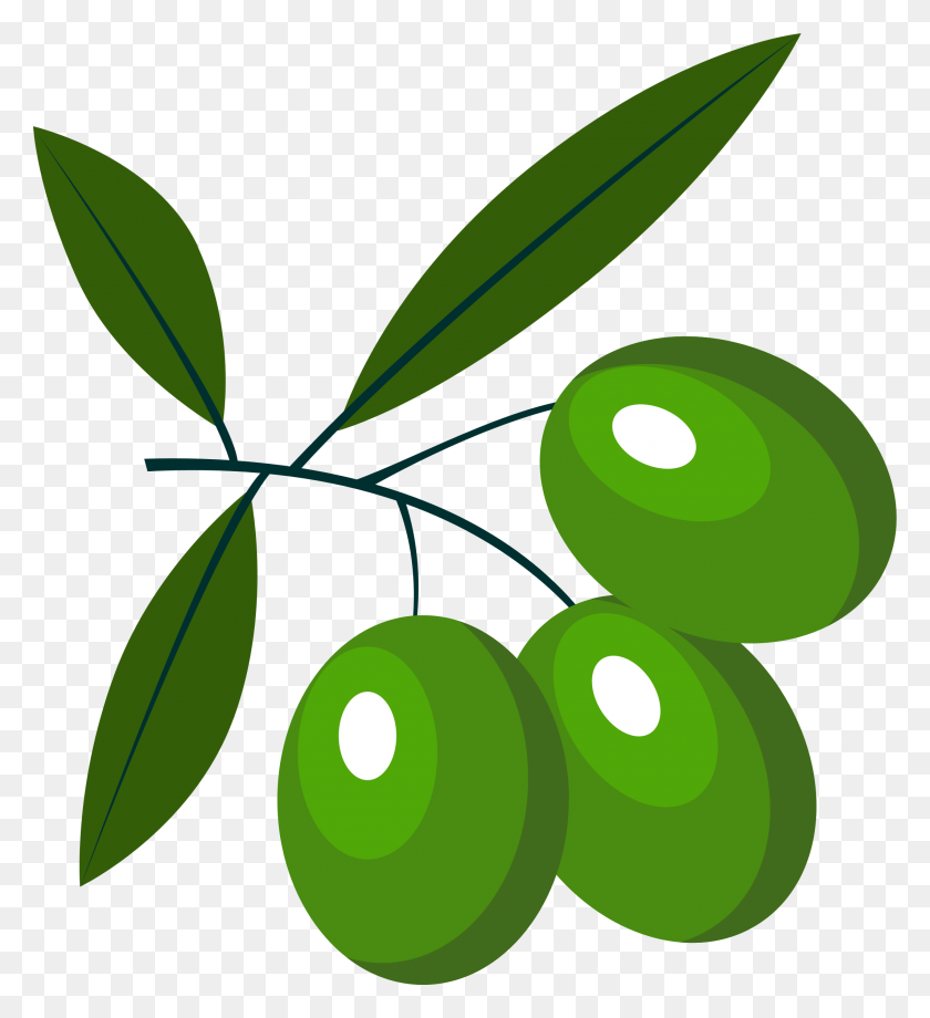 2130x2350 Clipart - Olive Tree PNG