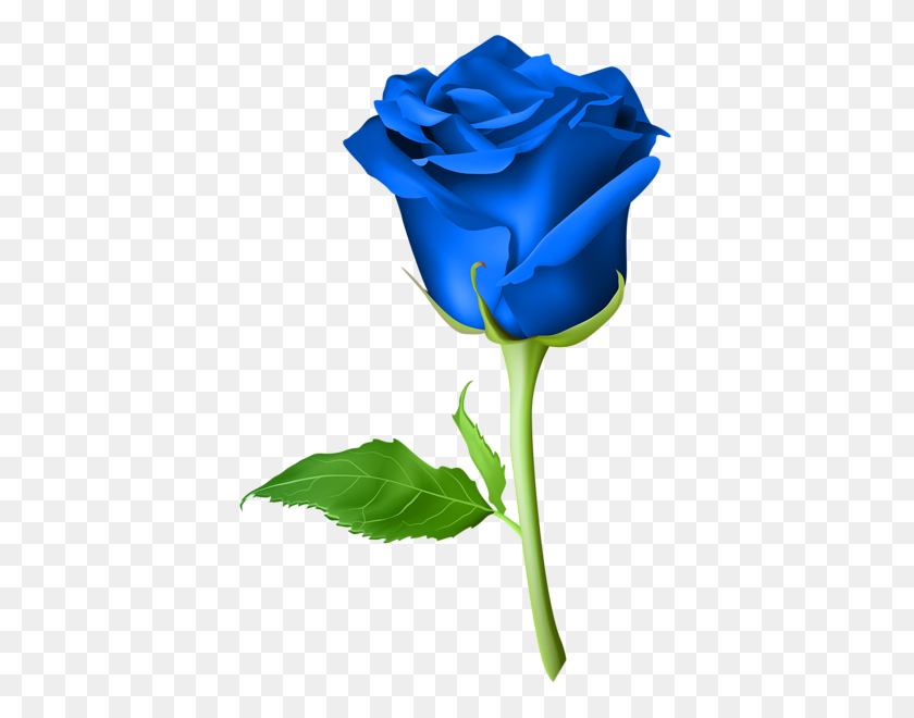 407x600 Клипарт Голубые Розы, Синие И Розовые - Роза Клипарт