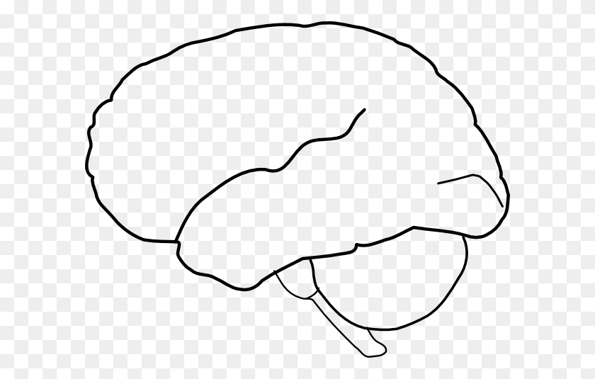600x475 Clipart Brain Outline - Mind Clipart