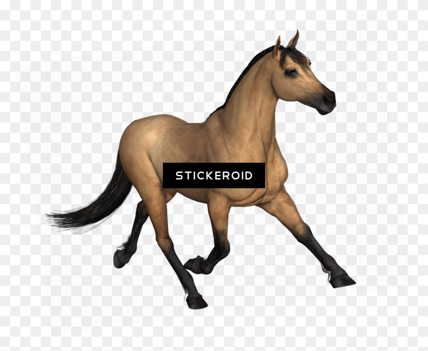 1400x1128 Caballo Png / Caballo Png