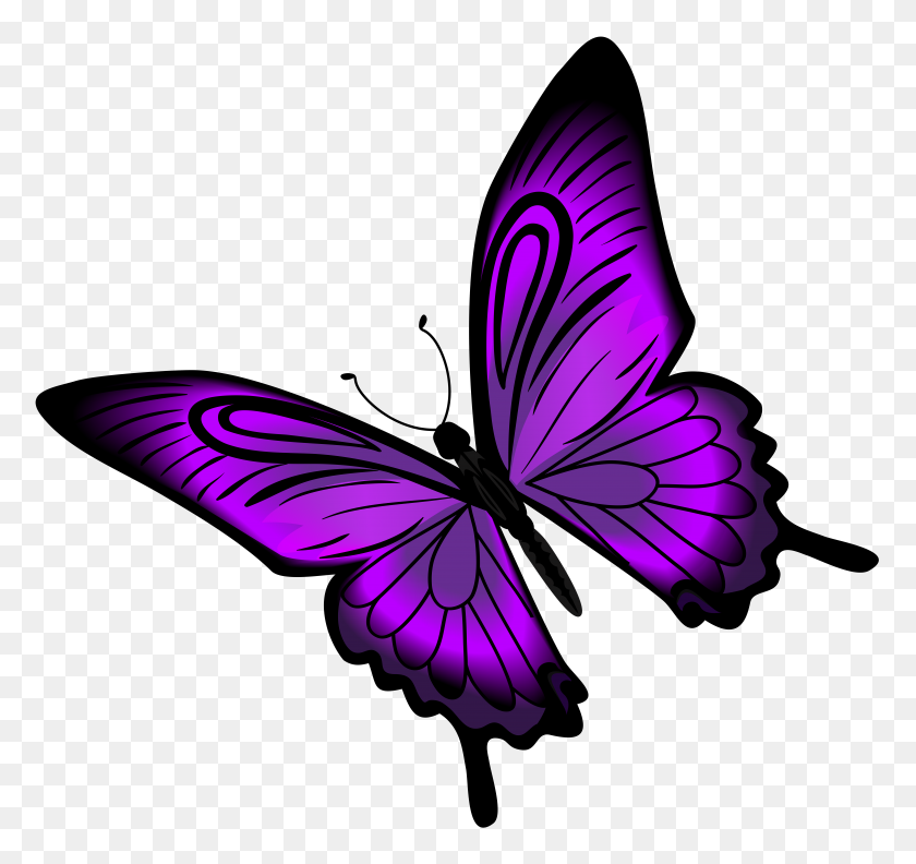 8000x7512 Clipart Mariposa Púrpura Sobre Mariposas - Mariposa Clipart Blanco Y Negro