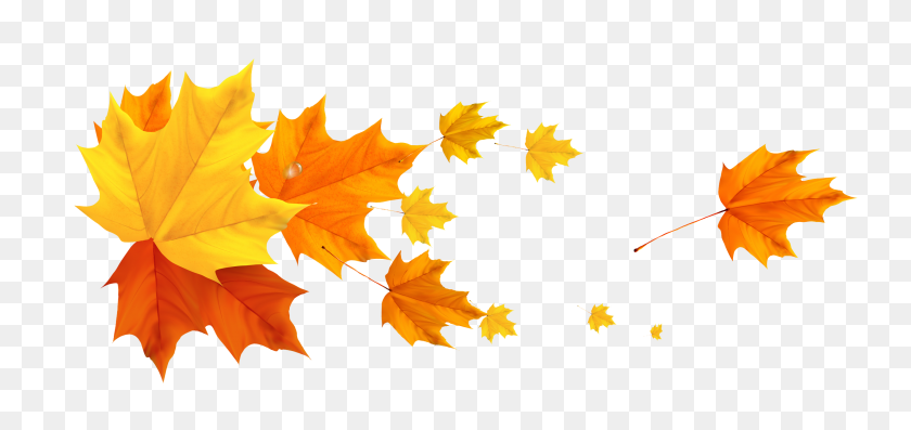 2900x1256 Клипарт Картинки, Осень И Листья - Осеннее Дерево Png