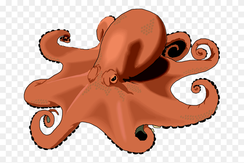 675x502 Clipart Clip Art Octopuses Image - Octopus Clipart Black And White