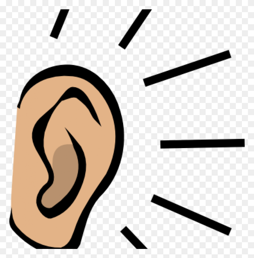1009x1025 Clipart Ear Ear Clip Art At Clker Vector Clip Art Online - Earrings Clipart