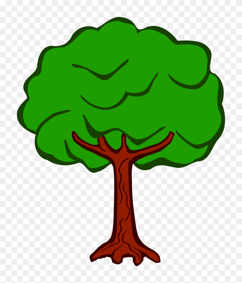 2024x2400 Clipart Easy Draw Trees - Sycamore Tree Clipart
