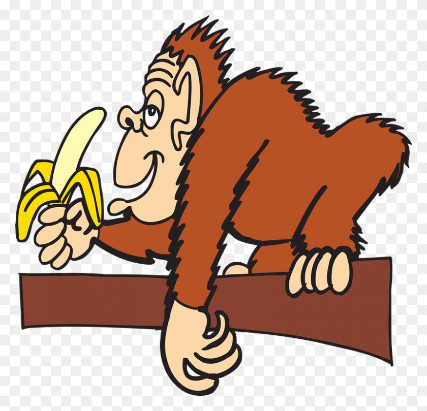 800x769 Clipart Eating A Banana Happy Cute Monkey Stock Vector - Shutterstock Clipart