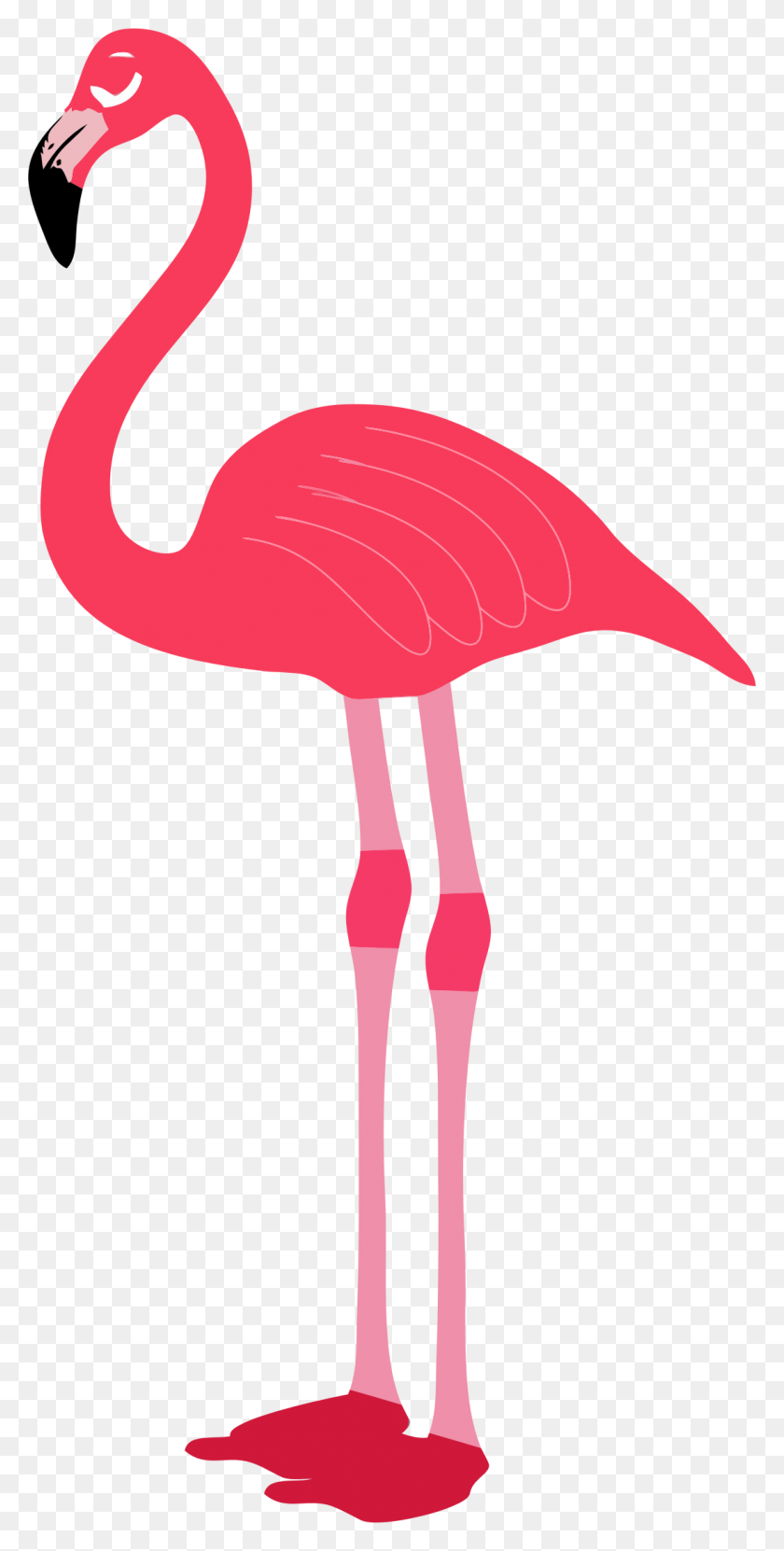 1098x2256 Клипарт Фламинго Изображение Clipartix - Розовая Птица Клипарт