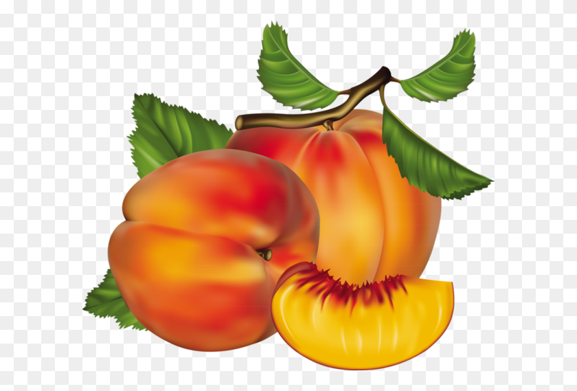 600x509 Clipart Food Peach, Illustration And Fruit - Peaches PNG