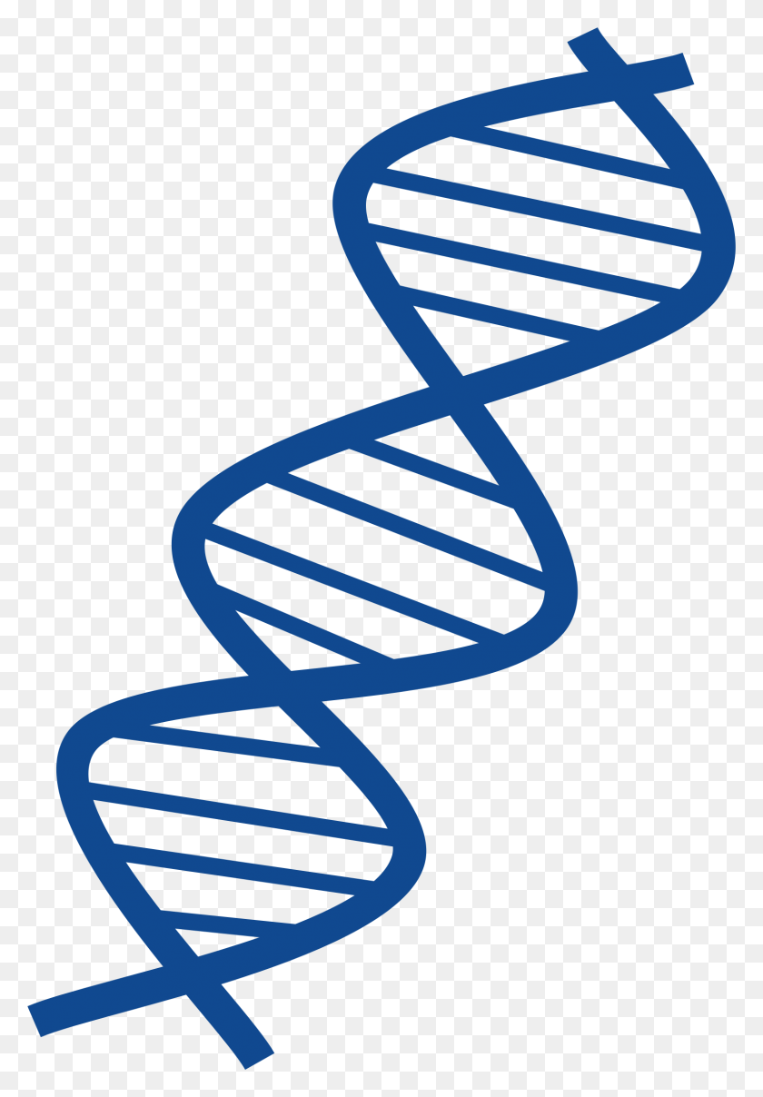 1531x2254 Clipart For Dna - Thumbprint Clipart