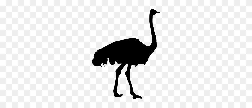 225x300 Clipart For Free - Ostrich Clipart