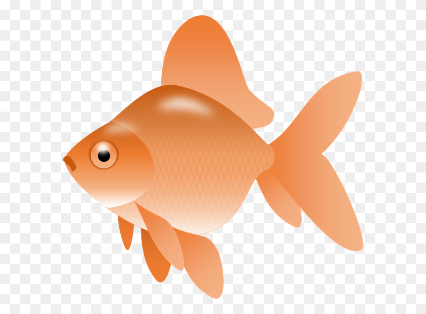 592x559 Клипарт Золотая Рыбка Клипарт Бесплатные Картинки Золотая Рыбка Клипарт - Рыбий Хвост Клипарт