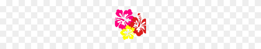 100x100 Клипарт Гавайский Цветок Клипарт История Клипарт Гавайский Цветок - Гавайская Граница Клипарт