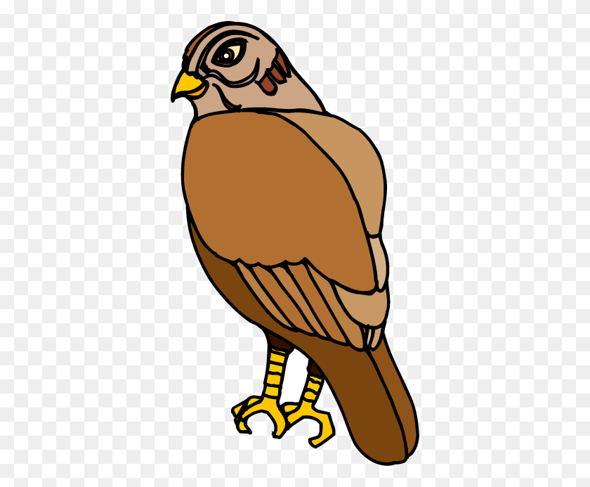 354x633 Clipart Hawk Mira Hawk Imágenes Prediseñadas - Buzzard Clipart