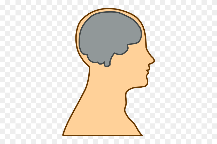 360x500 Clipart Human Head Outline - Brain Clipart