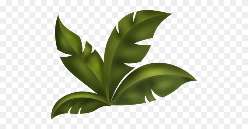 500x378 Clipart Mix - Jungle Leaves PNG