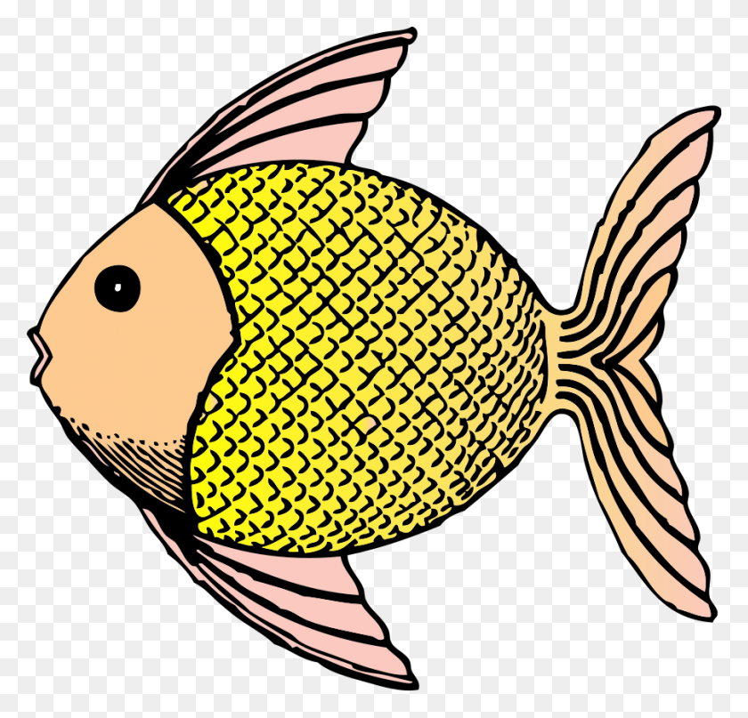 900x863 Clipart Of A Fish - Guppy Clipart