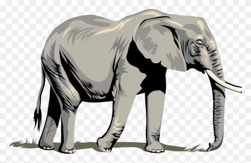 800x499 Clipart Of Elephant - Baby Elephant Clipart Black And White