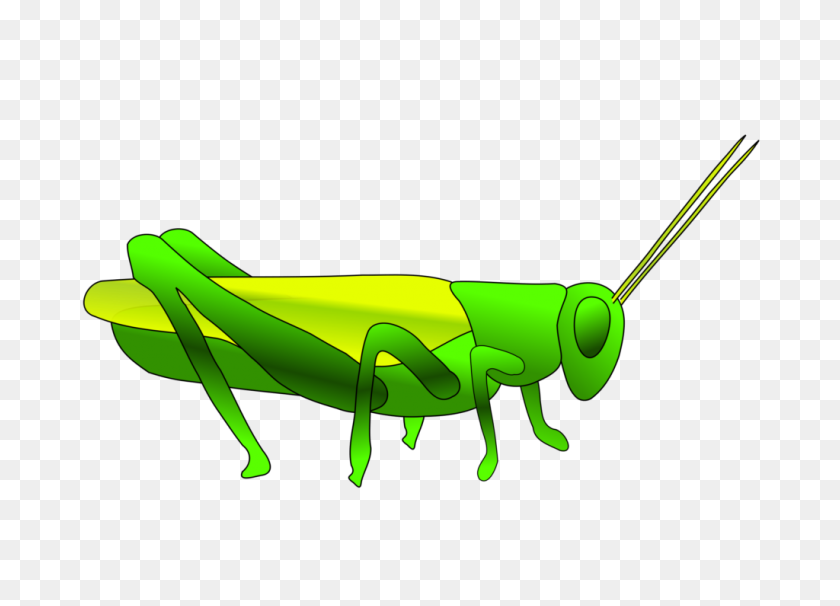 1024x717 Clipart Of Grasshopper Winging - Praying Mantis Clipart