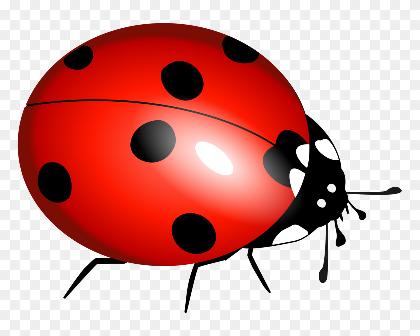 2400x1882 Clipart Of Ladybugs Winging - Dead Bird Clipart