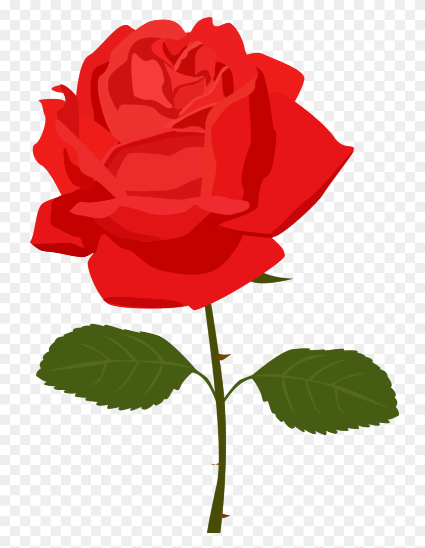738x1024 Clipart Of Rose Flower Roses Winging - Rose Bush PNG
