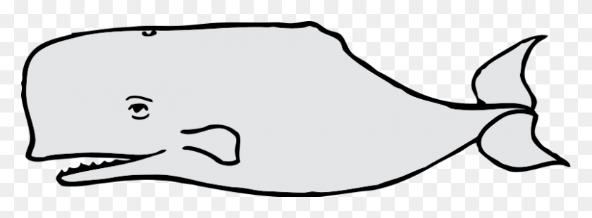 800x257 Clipart Of Whale Winging - Fish Outline Clipart Blanco Y Negro