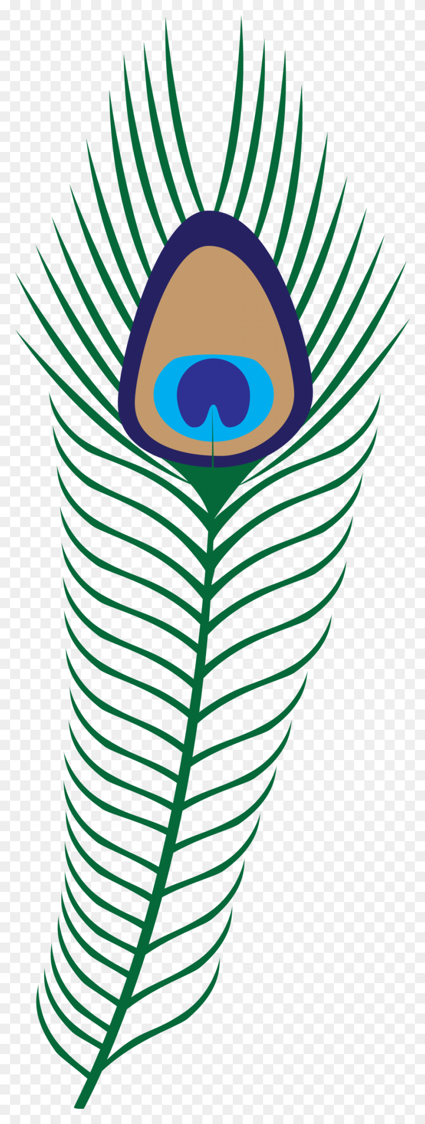 900x2490 Clipart Peacock Feather Clip Art Images - Peacock Clipart Free