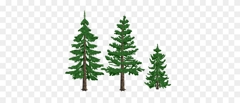 400x300 Clipart Pine Tree Transparent - Pine Branch PNG