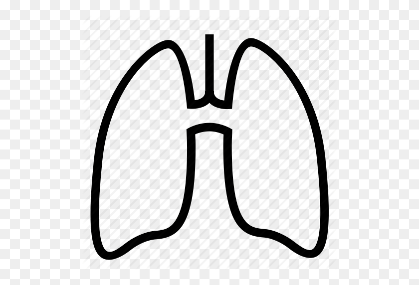 512x512 Clipart Resolution - Lungs Clipart