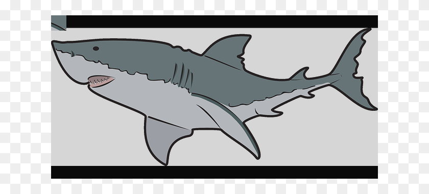640x320 Clipart Shark - Shark Black And White Clipart