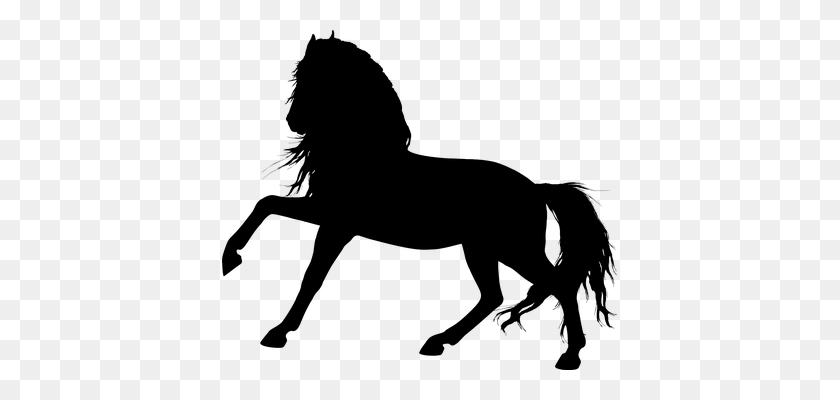 395x340 Clipart Silhouette Horse - Horse Silhouette PNG