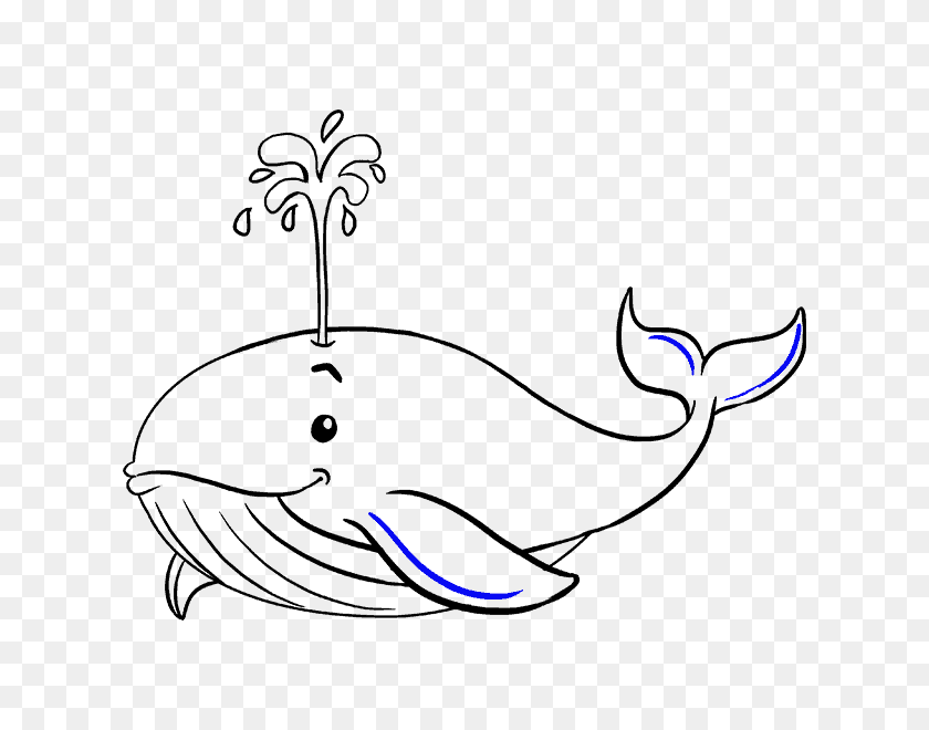 678x600 Clipart Whale Cartoon Drawing Clipart Whale Cartoon Drawing How - Whale Shark Clipart