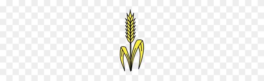 199x199 Clipart Wheat Look At Wheat Clip Art Images - Demeter Clipart