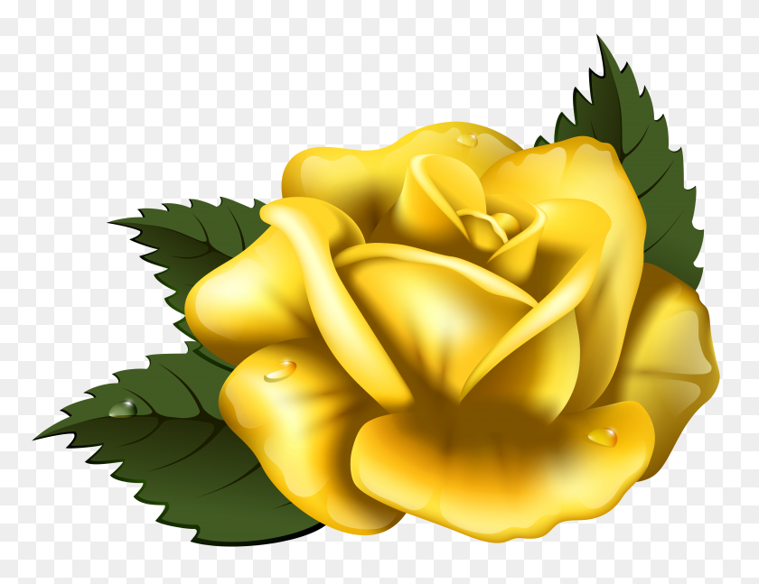 7013x5280 Clipart Yellow Roses - Single Rose Clipart