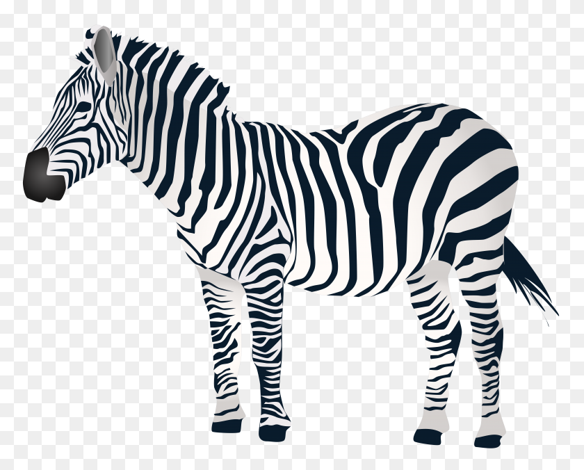 8000x6326 Clipart Zebra Clip Art Images - Baby Zebra Clipart