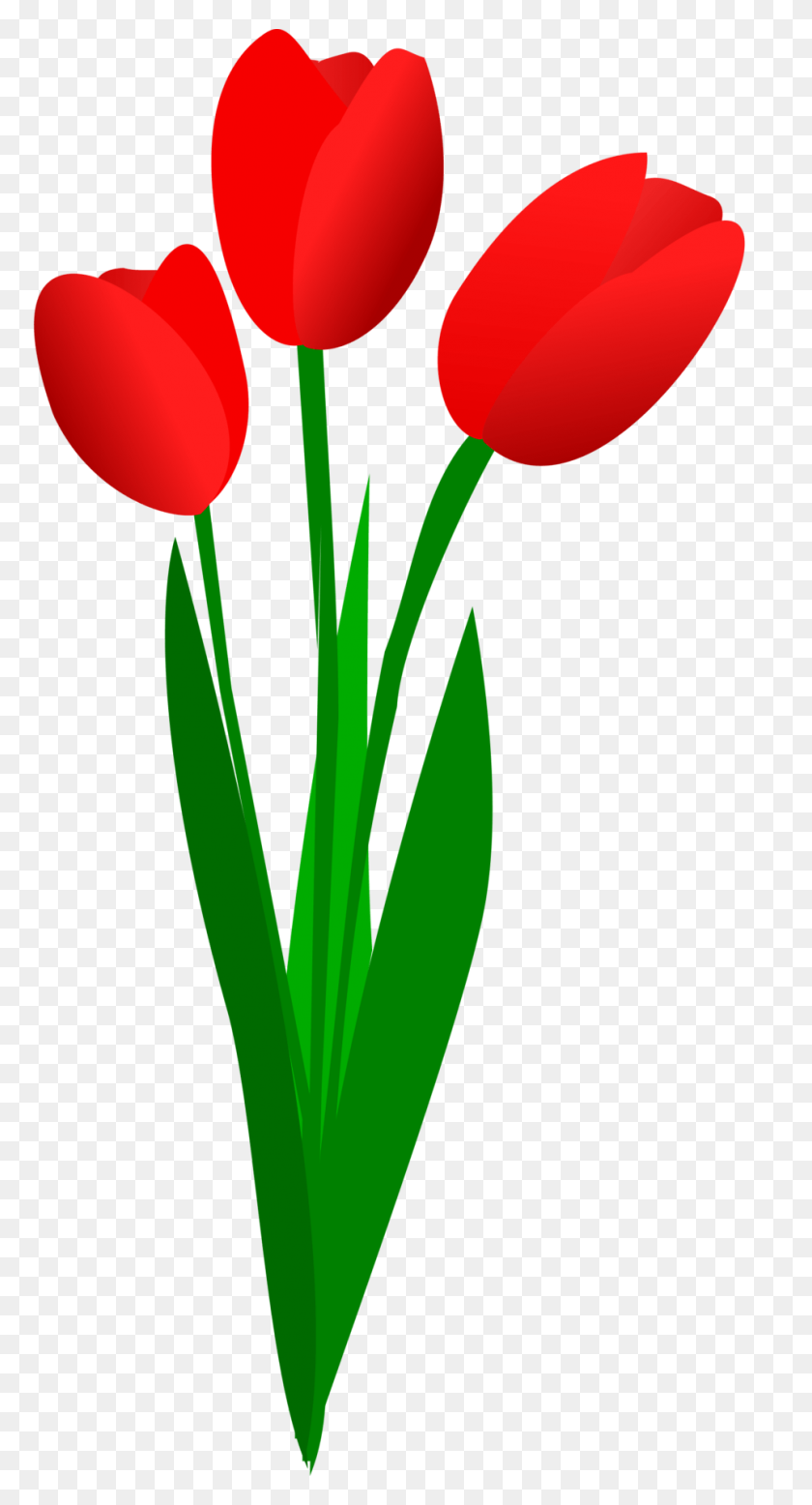 958x1838 Cliparts Tulip Bouquet - Clipart Bouquet