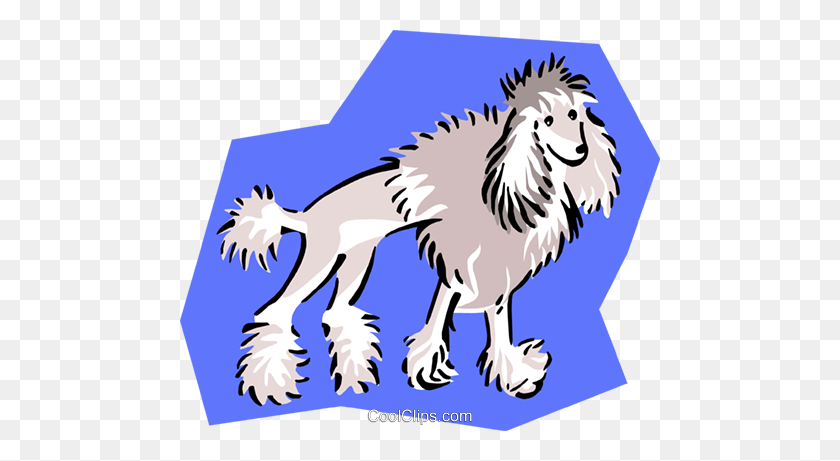 480x401 Clipped Poodle Royalty Free Vector Clipart Illustration - Poodle Clipart