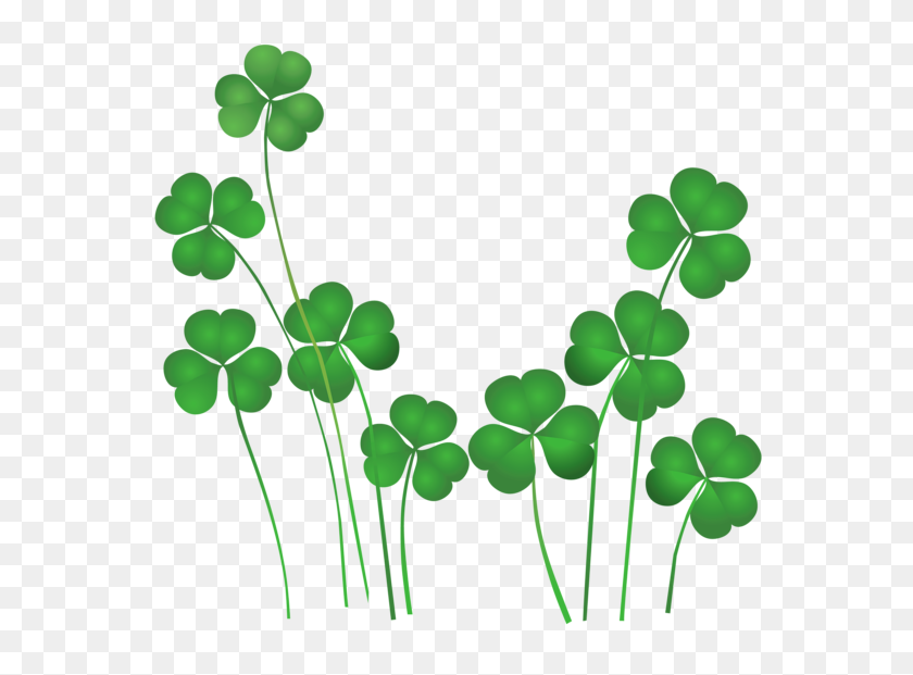 600x561 Clover Clipart Divider - Page Divider Clipart