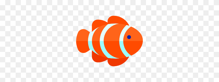 256x256 Clown Fish - Clown Fish PNG