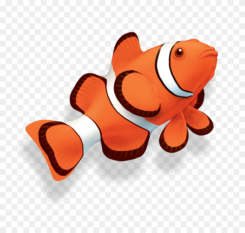 740x740 Clown Fish Kelly Laity - Clown Fish PNG