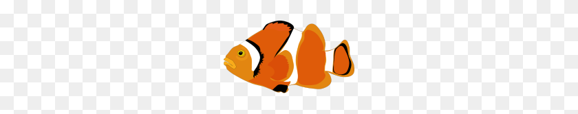 190x106 Clownfish - Clown Fish PNG