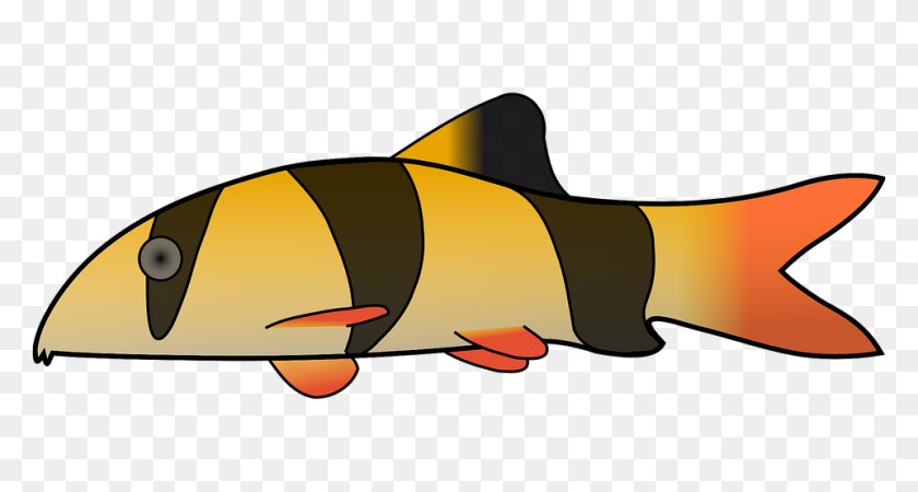 960x480 Clownfish Anglerfish Clip Art - Angler Fish Clipart