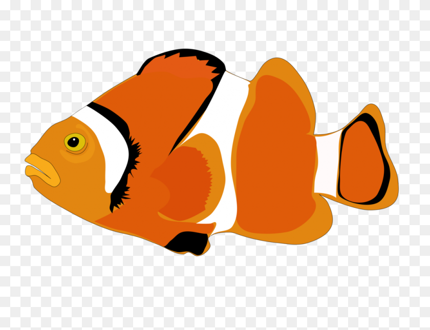 1000x750 Рыба-Клоун Мультфильм Компьютерные Иконки - Рыбья Кость Клипарт