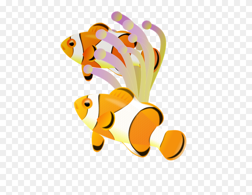 480x590 Clownfish Clip Art - Clownfish Clipart