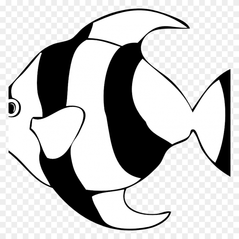 1024x1024 Clownfish Clip Art Fish Clipart Black And White Pineapple - Clownfish Clipart Black And White