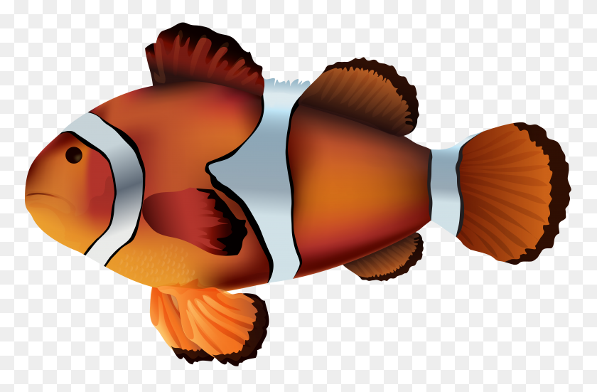 6899x4349 Clownfish Clipart Transparent Fish - Baby Clipart Transparent Background