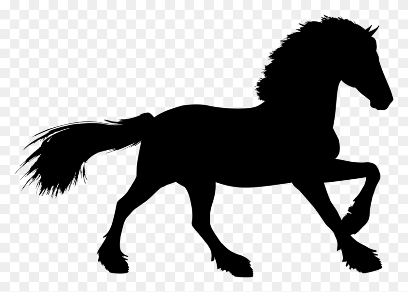 1080x750 Clydesdale Horse Stallion Descargar Dibujo Ecuestre Gratis - Caballo Mustang Png