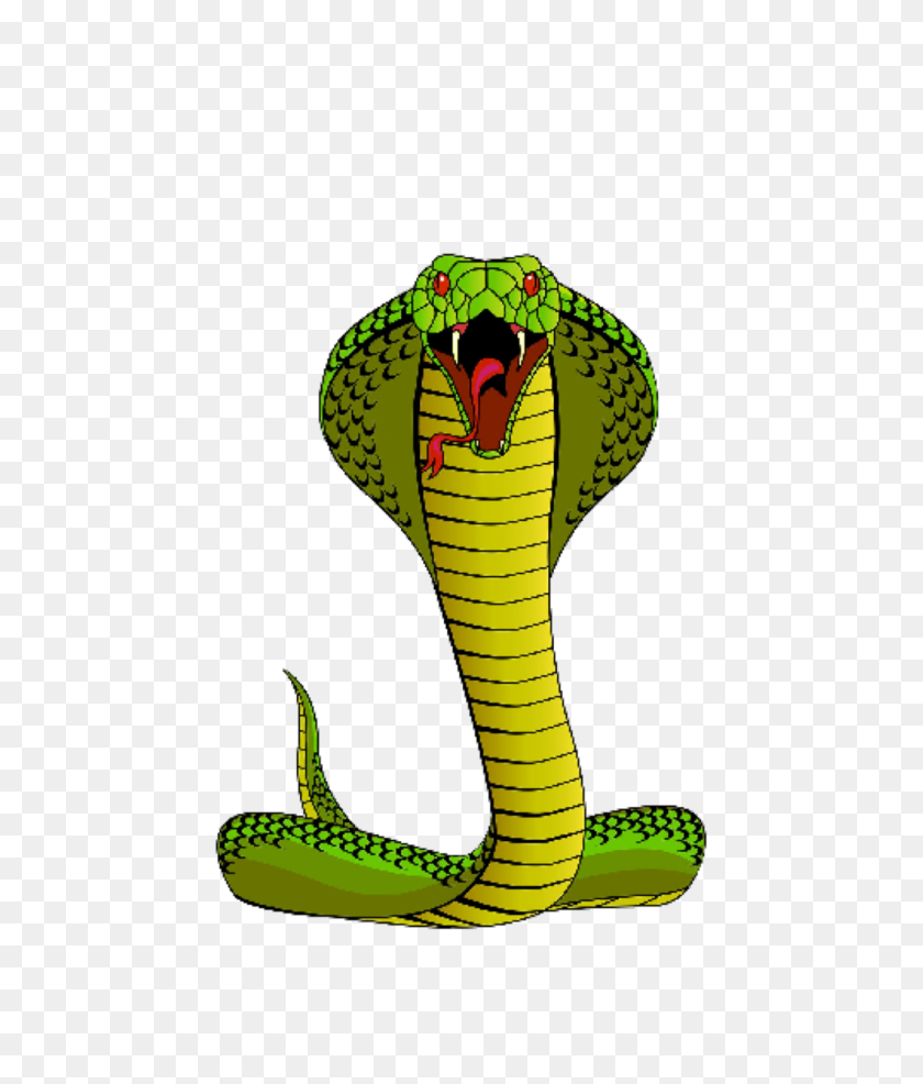 1746x2075 Кобра Змея Freetoedit - Королевская Кобра Png