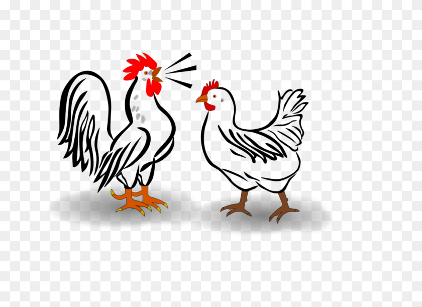 1061x750 Cochin Chicken Leghorn Chicken Plymouth Rock Chicken Silkie Brahma - Plymouth Rock Clipart