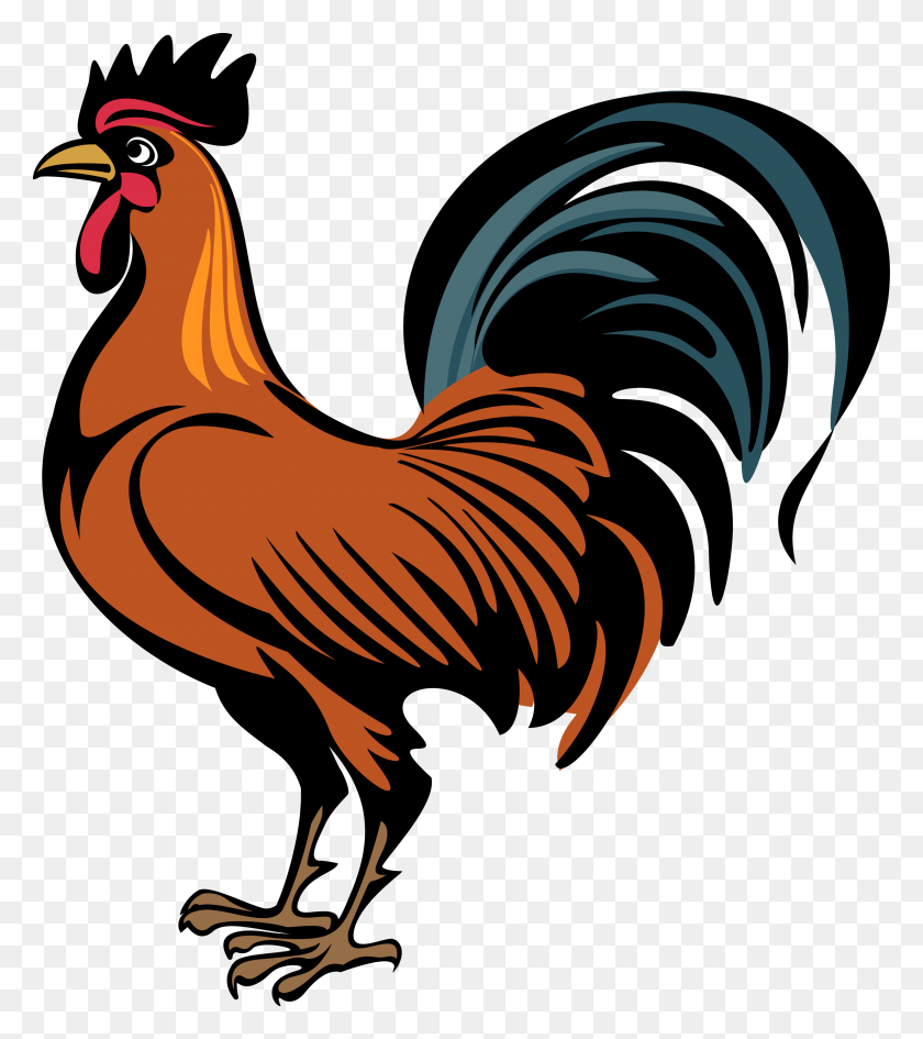 3000x3405 Cock Png - Chickens PNG